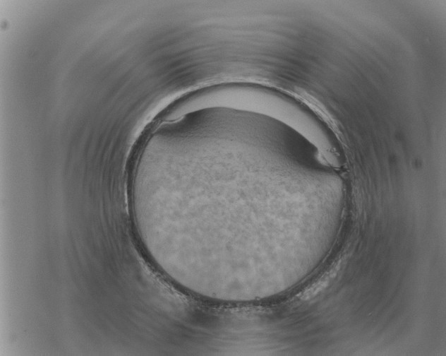 X0000068740934200605262047