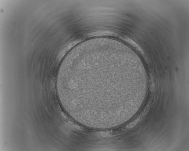 X0000068740937200605262047