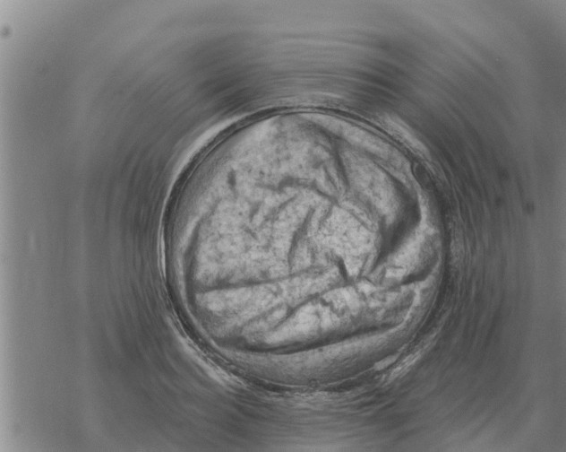 X0000068740940200605262047