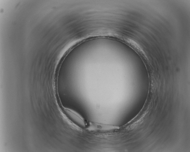 X0000068740942200605262047