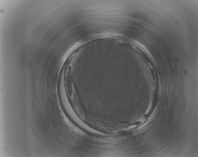 X0000068740946200605262047