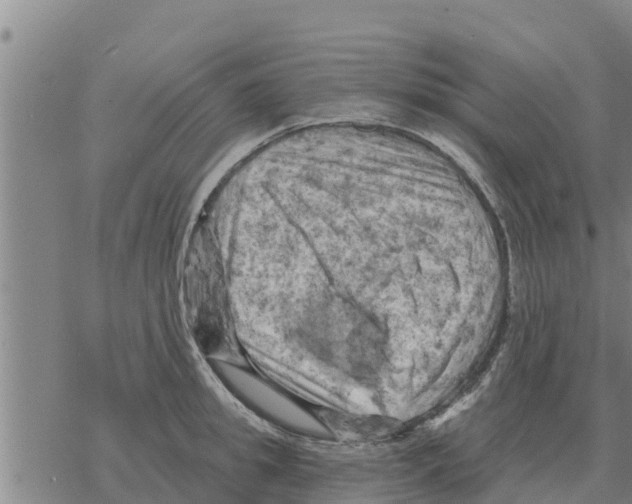 X0000068740949200605262047