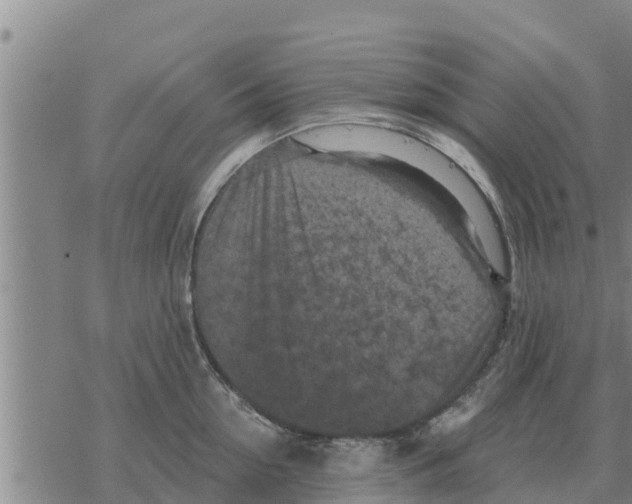 X0000068740954200605262047