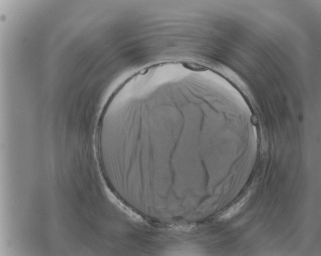 X0000068740958200605262047