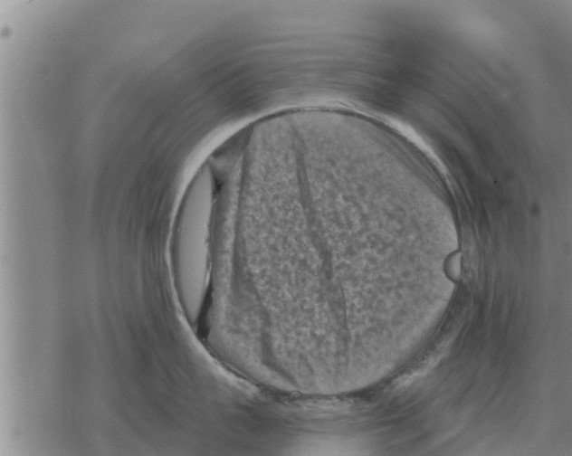 X0000068740959200605262047