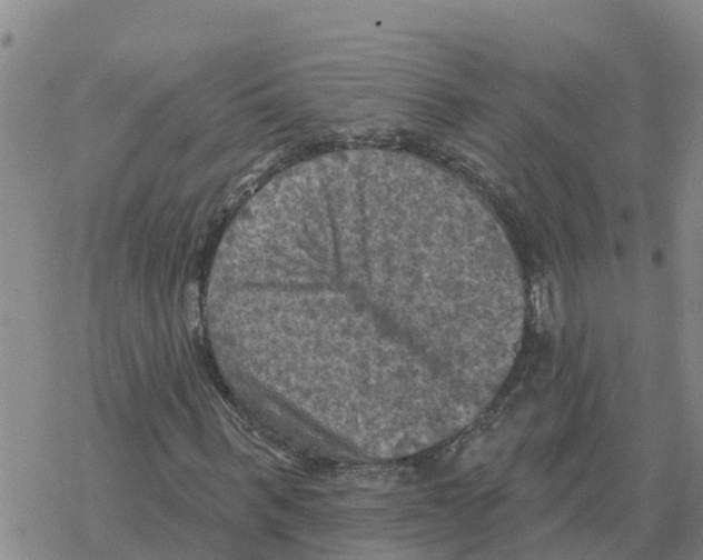 X0000068740963200605262047