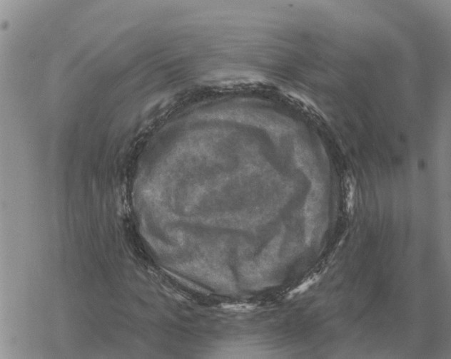 X0000068740965200605262047