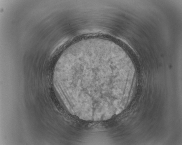 X0000068740967200605262046