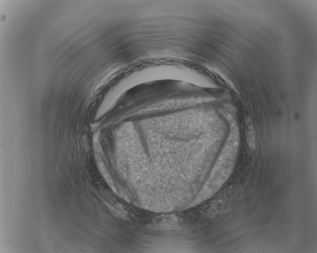 X0000068740968200605262046