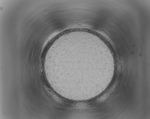 X0000068740974200605262046