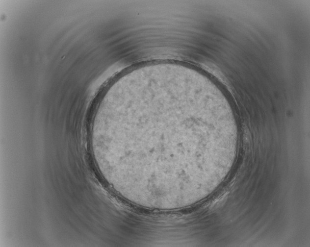 X0000068740979200605262046