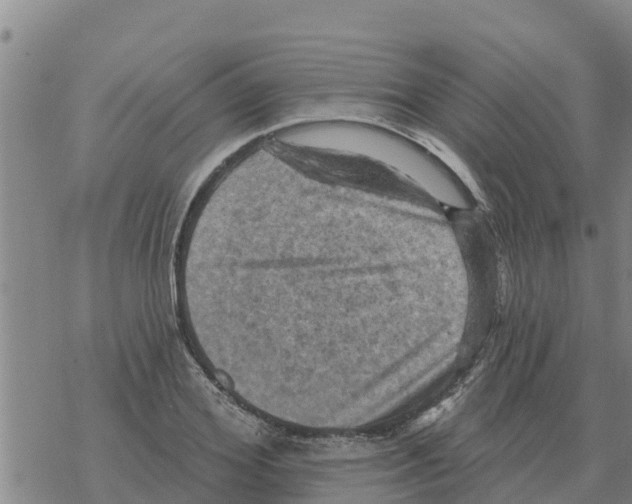 X0000068740980200605262046