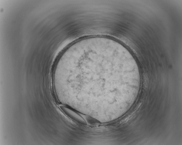 X0000068740982200605262046