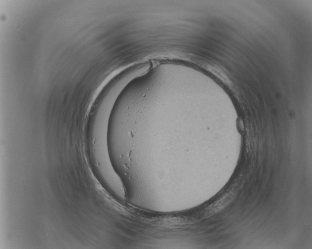 X0000068740984200605262046