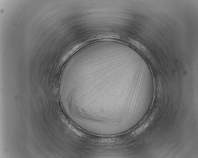 X0000068740985200605262046