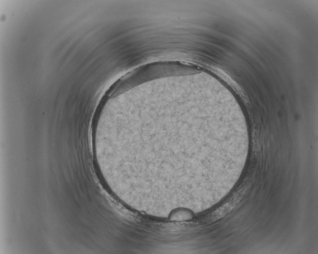 X0000068740988200605262046