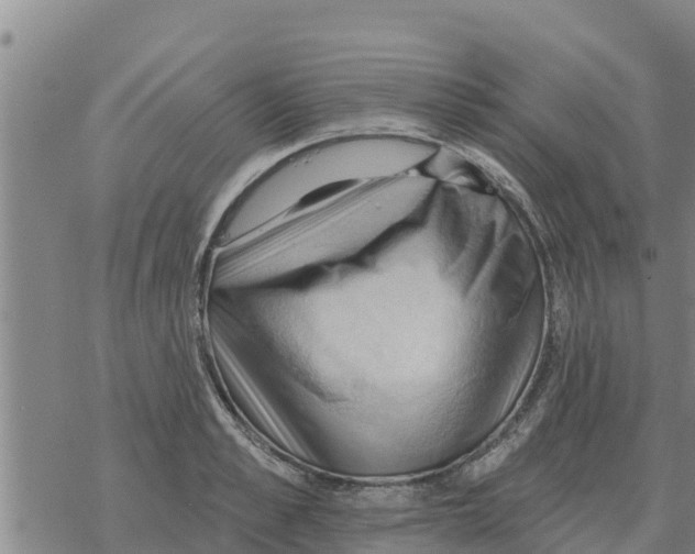 X0000068740989200605262046