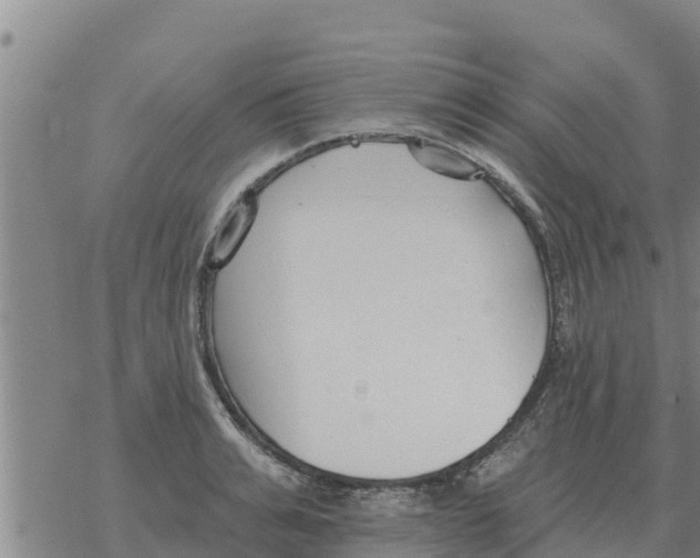 X0000068740991200605262046