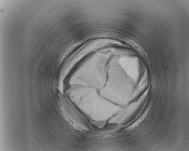 X0000068740993200605262046