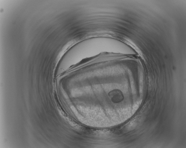 X0000068740994200605262046