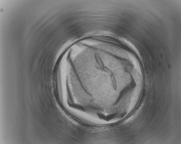 X0000068740997200605262046