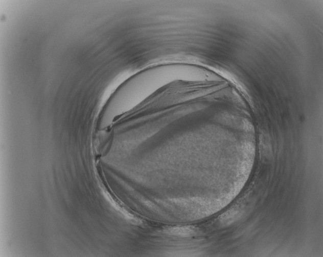 X0000068740998200605262046