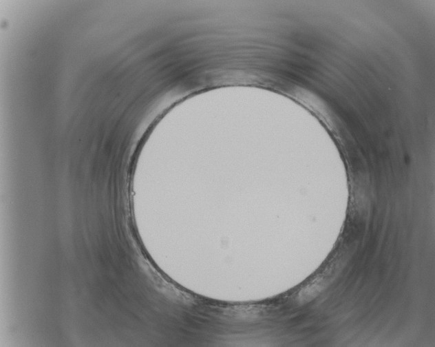 X0000068741000200605262046