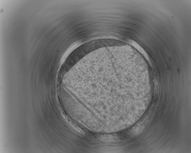 X0000068741002200605262046