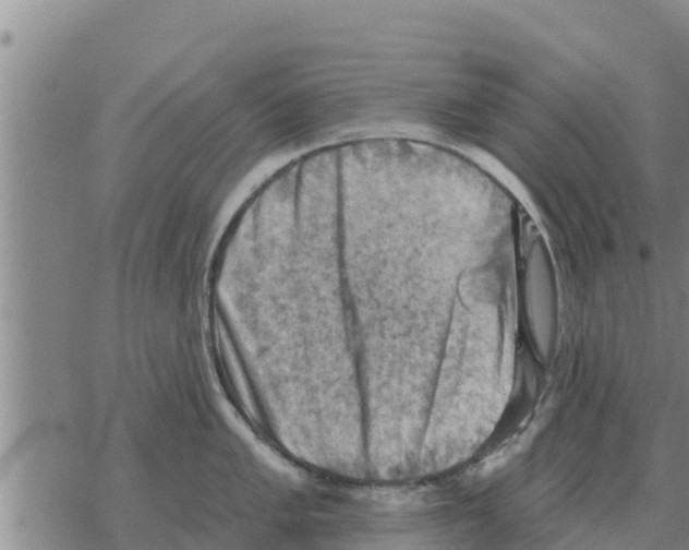 X0000068741005200605262046