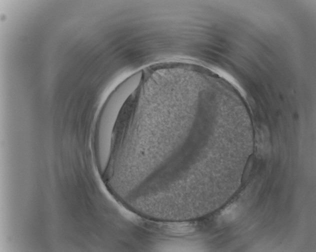 X0000068741007200605262046