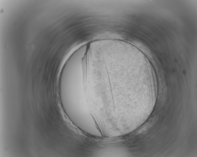 X0000068741008200605262046