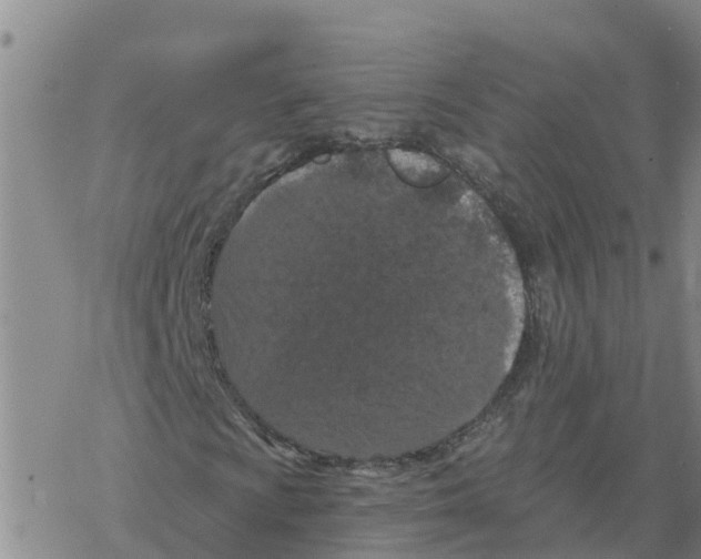 X0000068741009200605262045