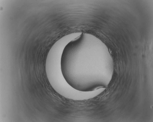 X0000068741010200605262045