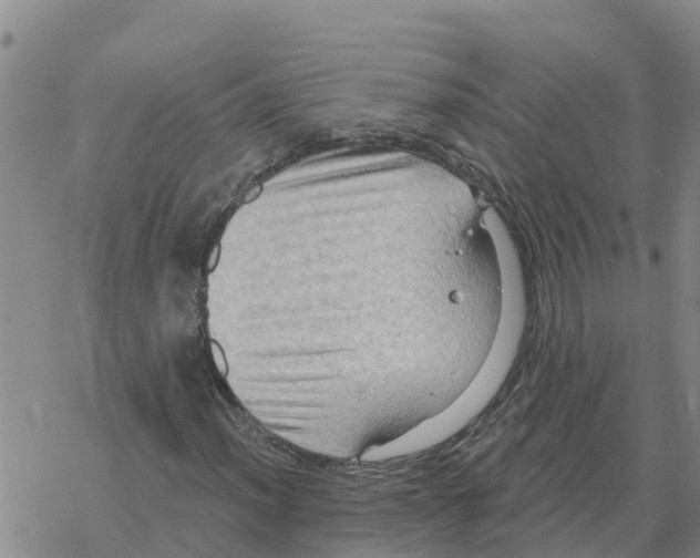 X0000068741012200605262045