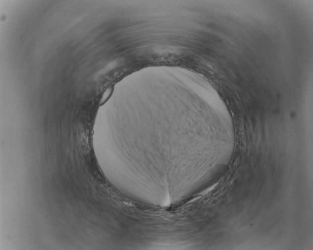 X0000068741013200605262045