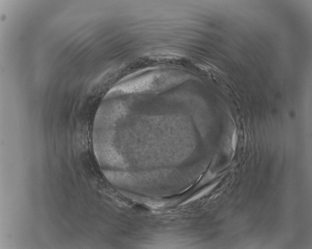 X0000068741014200605262045