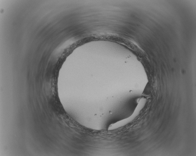 X0000068741016200605262045