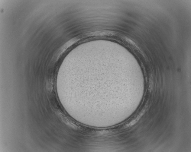 X0000068741017200605262045