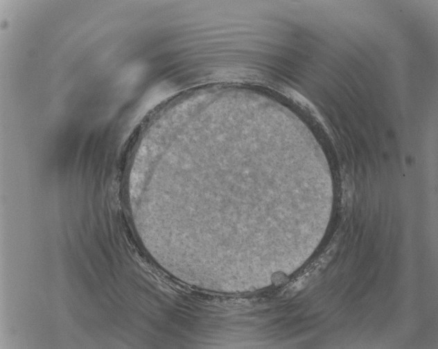 X0000068741019200605262045