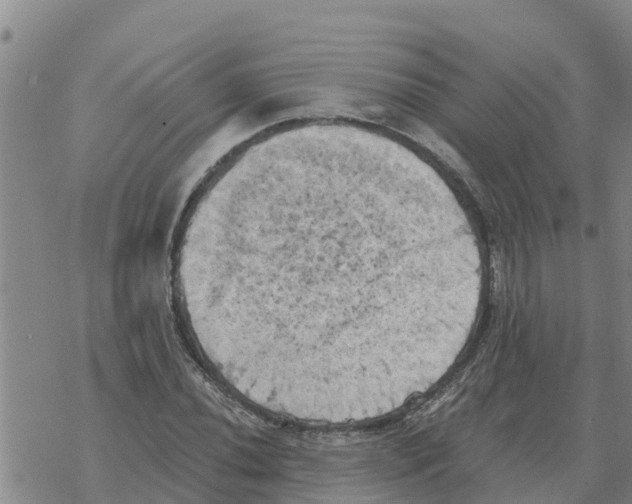 X0000068741020200605262045