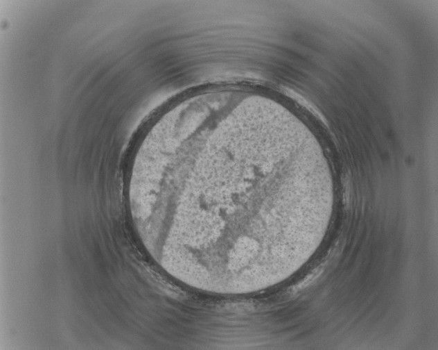 X0000068741021200605262045