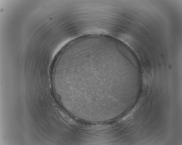 X0000068741022200605262045