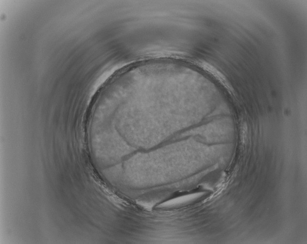 X0000068741023200605262045