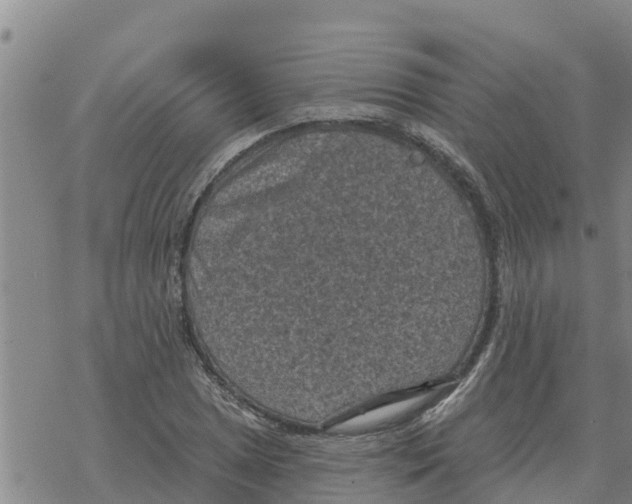 X0000068741025200605262045