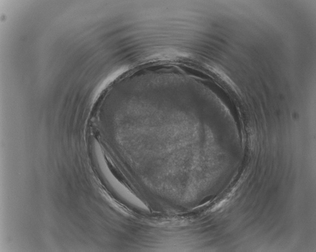 X0000068741026200605262045