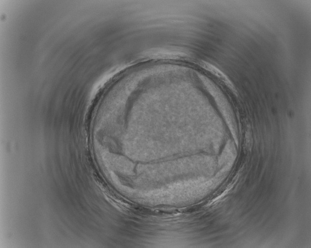 X0000068741027200605262045