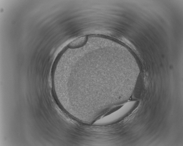 X0000068741028200605262045