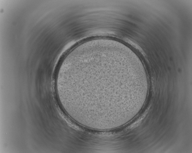 X0000068741029200605262045