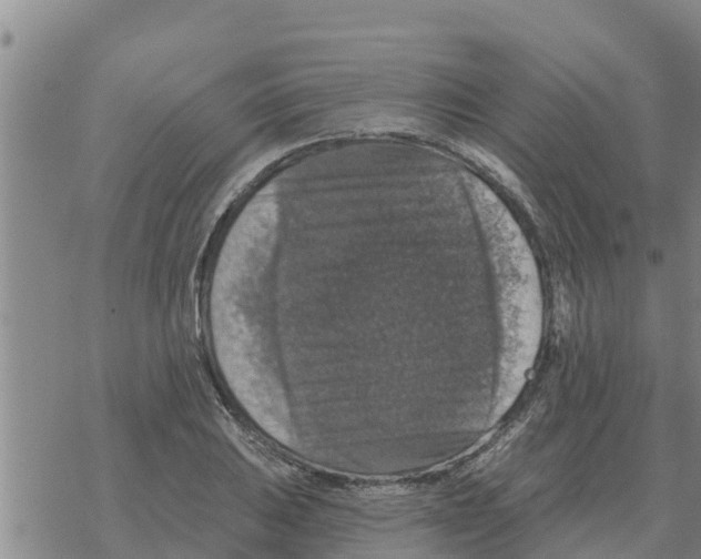 X0000068741031200605262045