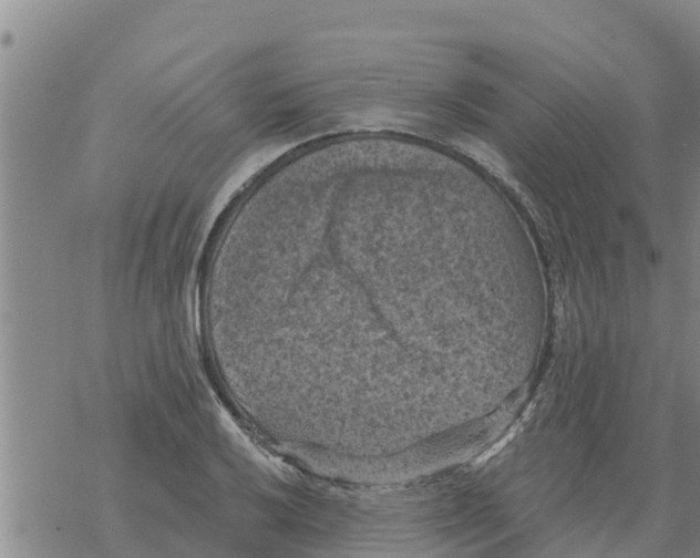 X0000068741032200605262045